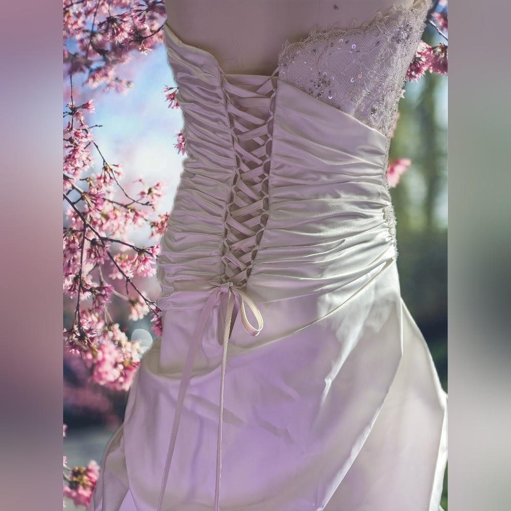 Wedding dresses - Picture 6 of 11